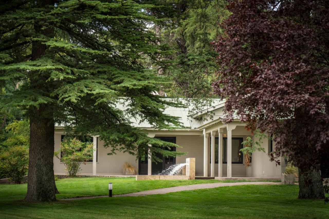 Posada Salentein Los Árboles Exteriér fotografie