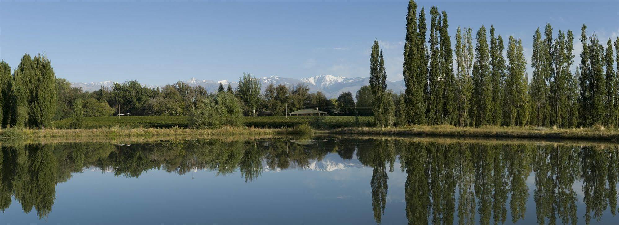 Posada Salentein Los Árboles Exteriér fotografie